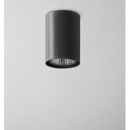 Aquform Pet lampa podsufitowa 1x50W czarna 42311-0000-U8-PH-12