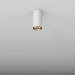 Aqform Pet lampa podsufitowa 1x8,5 W biała-złota 46962-M940-WG-00-13