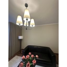 Argon Safiano lampa podsufitowa 4x15W biały/czarny 1822