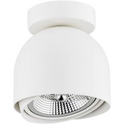 Argon Garland lampa podsufitowa 1x12W biały 4710BZ