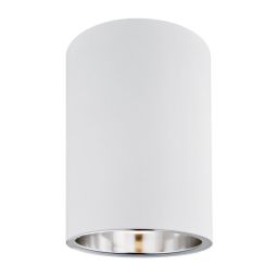 Argon Tyber lampa podsufitowa 1x15W biały 475