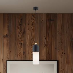 Argon Burgos lampa wisząca 1x15W opal mat/czarny 4213
