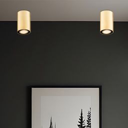 Argon Tyber Plus lampa podsufitowa 1x5W mosiądz 4759