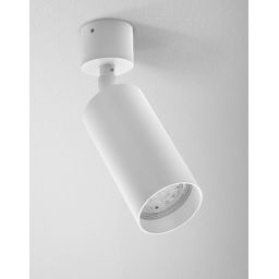 Aqform Pet lampa podsufitowa 1x50W biała struktura 10045-0000-U8-PH-13