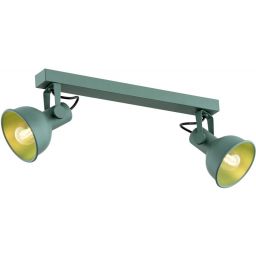 Argon Lenora lampa podsufitowa 2x7W zielony 7174