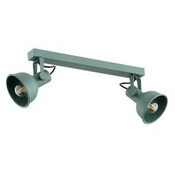 Argon Lenora lampa podsufitowa 2x7W zielony 7174