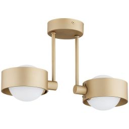 Argon Massimo Plus lampa podsufitowa 2x6 W biała 7215