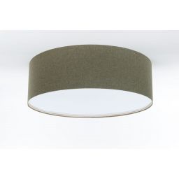 BPS Koncept Boho Ellegant plafon 2x60W zielony 090-236-40