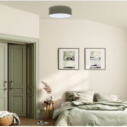 BPS Koncept Boho Ellegant plafon 2x60W zielony 090-236-40