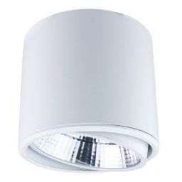 DPM X-Line lampa podsufitowa 1x20 W biała STL-DL20W-W