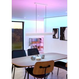 Eglo Andreas-Z lampa wisząca 2x19 W biała-szara 900879