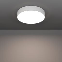 Eglo Gallizzi-Z plafon 1x15 W biały 901906