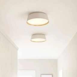 Elstead Lighting Asher plafon 3x40 W biały-złoty FE-ASHER-3F-WHT