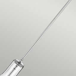 Elstead Lighting Everly lampa wisząca 1x60 W chrom KL-EVERLY-P-S-CH