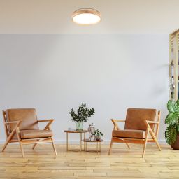 Goldlux Janusz plafon 1x12 W biały-drewno 331908