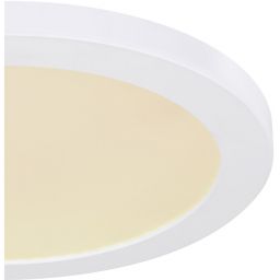 Globo Lighting Lasse plafon 1x24W LED biały/biały opalizowany 12379-24W