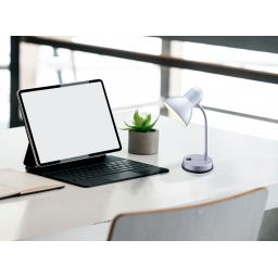 Globo Lighting Basic lampa biurkowa 1x40 W chrom-srebrna 2487