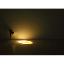 Globo Lighting Solar lampa solarna stojąca 1x1 W czarny 36021