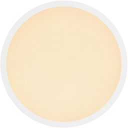 Globo Lighting Sapana plafon 1x24W LED biały/satynowy 41562-24W