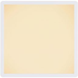 Globo Lighting Sapana plafon 1x18W LED biały/satynowy 41563-18W