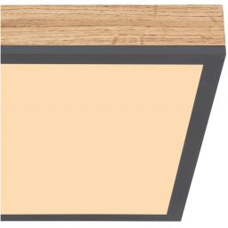 Globo Lighting Doro plafon 1x12W LED biały/grafit/drewno 416080WD1