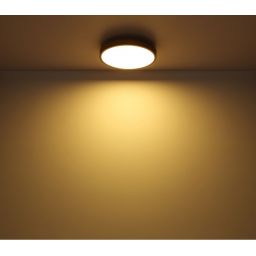 Globo Lighting Doro plafon 1x12W LED biały/grafit/drewno 416080WD1R