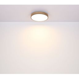 Globo Lighting Doro plafon 1x12W LED biały/grafit/drewno 416080WD1R