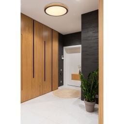 Globo Lighting Bruno plafon 1x12W LED czarny mat/opal/drewno 41764-12