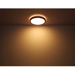 Globo Lighting Bruno plafon 1x12W LED czarny mat/opal/drewno 41764-12