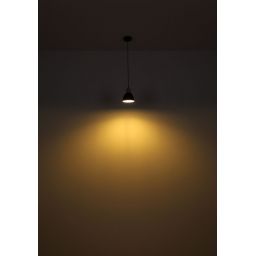 Globo Lighting Wiho lampa wisząca 1x40W czarna/drewno 54018HS