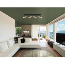 Globo Lighting Robby lampa podsufitowa 4x35W czarny mat/mosiądz 57911-4M