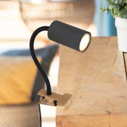 Globo Lighting Robby lampa biurkowa 1x25W grafit/drewno 57911KG