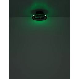 Globo Lighting Deanne lampa podsufitowa z wentylatorem 1x40 W czarna 03665
