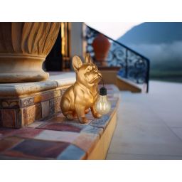 Globo Lighting Solar lampa stojąca 1x0,06 W złoty 36333G