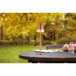 Globo Lighting Solar lampa solarna stołowa 1x0,06 W szampański 36637RM