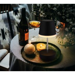 Globo Lighting Solar lampa solarna stołowa 1x0,06 W czarny 36638S