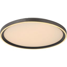 Globo Lighting Dublin plafon 1x38 W biały-szary 48802-38