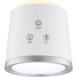 Globo Lighting Meeya lampa biurkowa 1x6 W biała-srebrna 58454W