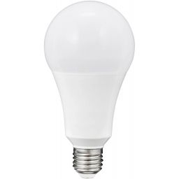 Goldlux Platinum żarówka LED 1x20 W 3000 K E27 307620