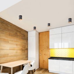 Goldlux Haron lampa podsufitowa 1x10 W czarna 314222