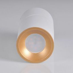 Goldlux Nixa lampa podsufitowa 1x10 W biała 314260