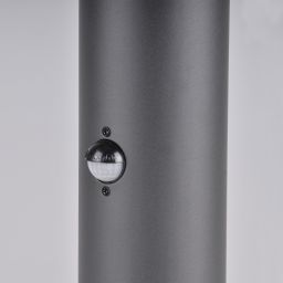 Goldlux Dallas lampa stojąca zewnętrzna 1x12 W biała-grafitowa 316004