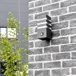 Goldlux Teksas kinkiet zewnętrzny 1x12 W grafitowy 317667