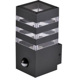 Goldlux Teksas kinkiet zewnętrzny 1x12 W grafitowy 317667