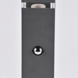 Goldlux Teksas lampa stojąca zewnętrzna 1x12 W grafitowa 317933