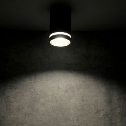 Goldlux Fabri lampa podsufitowa 1x10 W czarna 319890