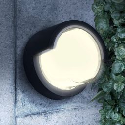 Goldlux Essen kinkiet zewnętrzny 1x12 W czarny 328786