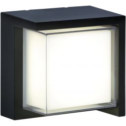 Goldlux Essen kinkiet zewnętrzny 1x12 W czarny 330963
