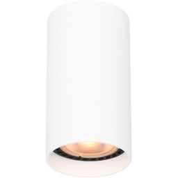Italux Lopus lampa podsufitowa 1x10 W biała CLN-48930-S-WH