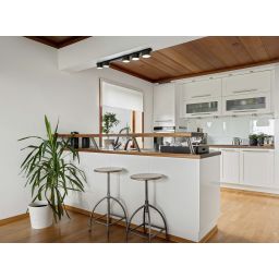 Kaja Cruz lampa podsufitowa 5x10 W czarna K-5533